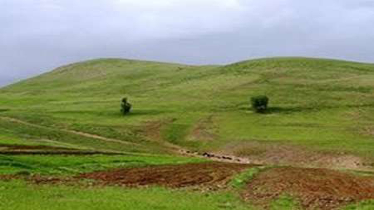 آزاد سازی ۹ هکتار از اراضی ملی در فسا/ توقف ساخت و ساز غیرمجاز در اراضی ملی سرچهان