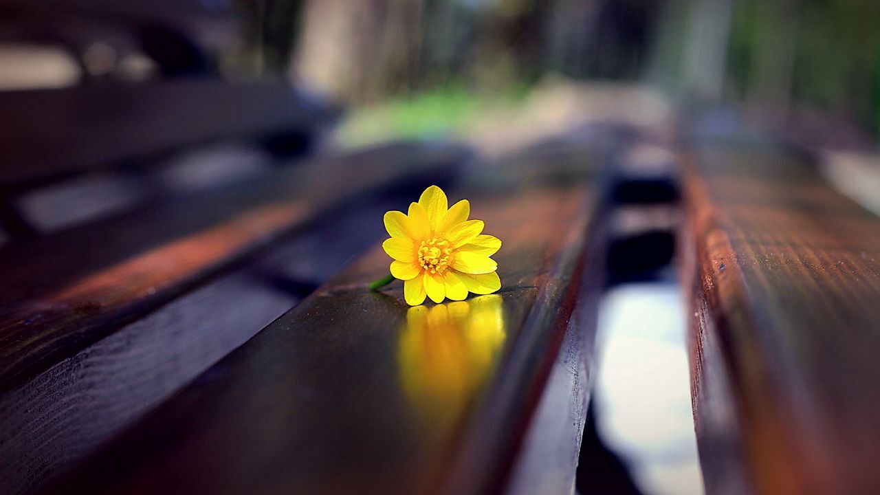 تصاویر پس زمینه (۲۲ دی)