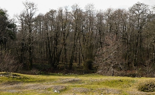روستای گتگسر از توابع گیسوم شهرستان تالش 