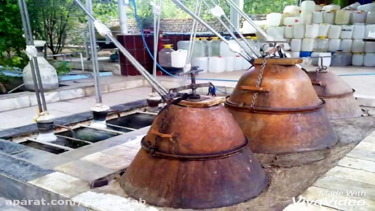 آموزشی برای عرق گیری از گیاهان دارویی در زاهدان