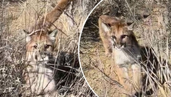 نمایی از شهر سازی بارسلون + فیلم