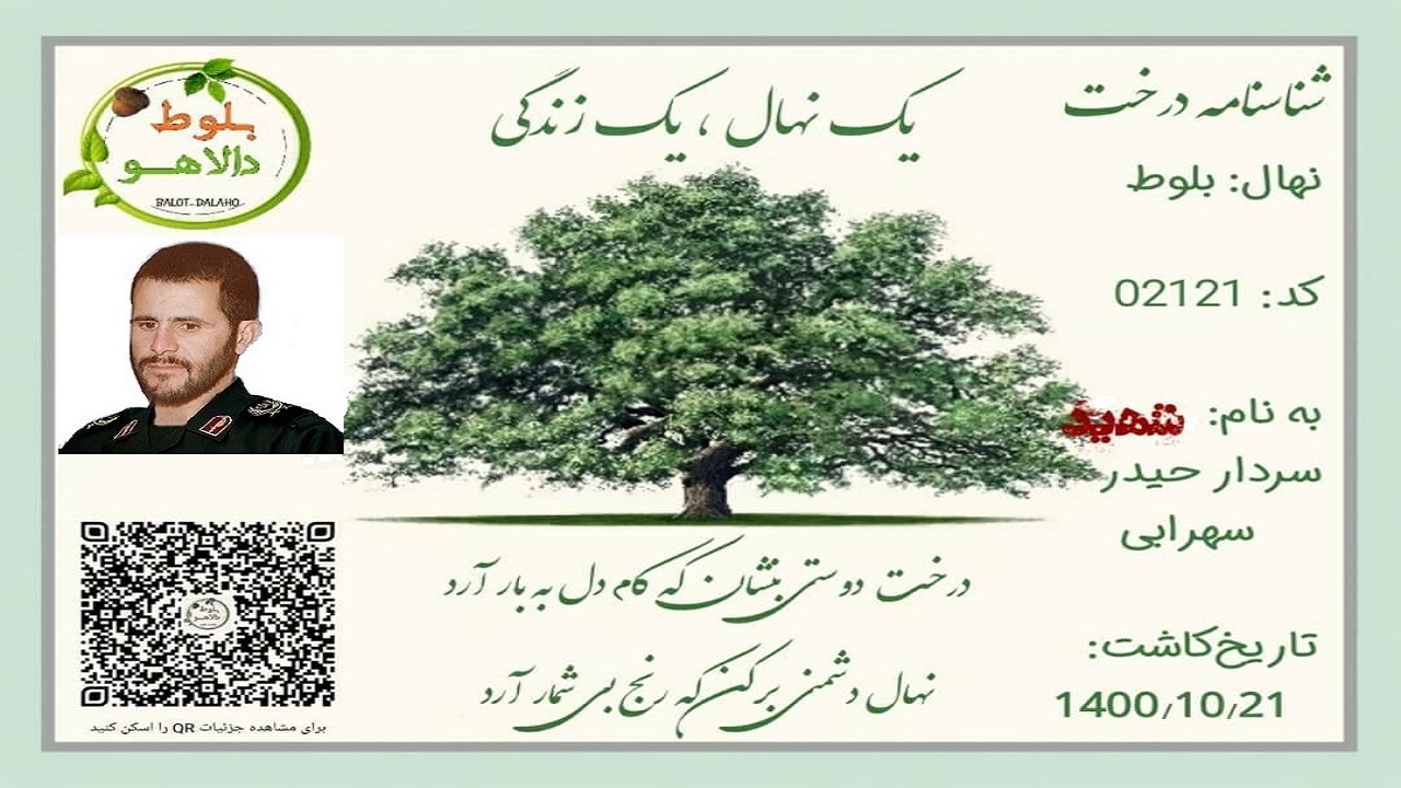 کاشت درخت بلوط در کوه‌های دالاهو به نام سردار شهید نهاوندی