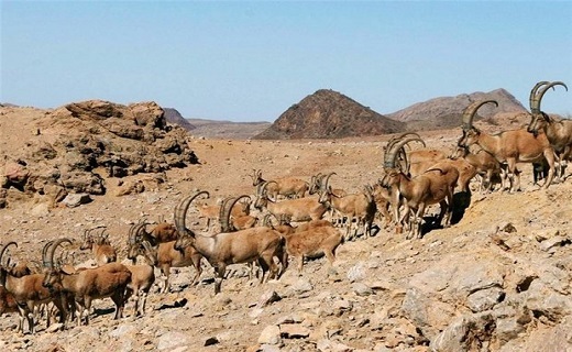 آفریقای کوچک ایران آیا یخ آفریقای کوچک ایران آب میشود؟