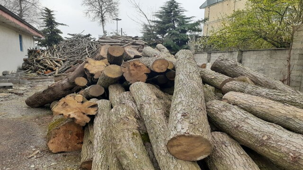 کشف چوب قاچاق در شهرستان گچساران