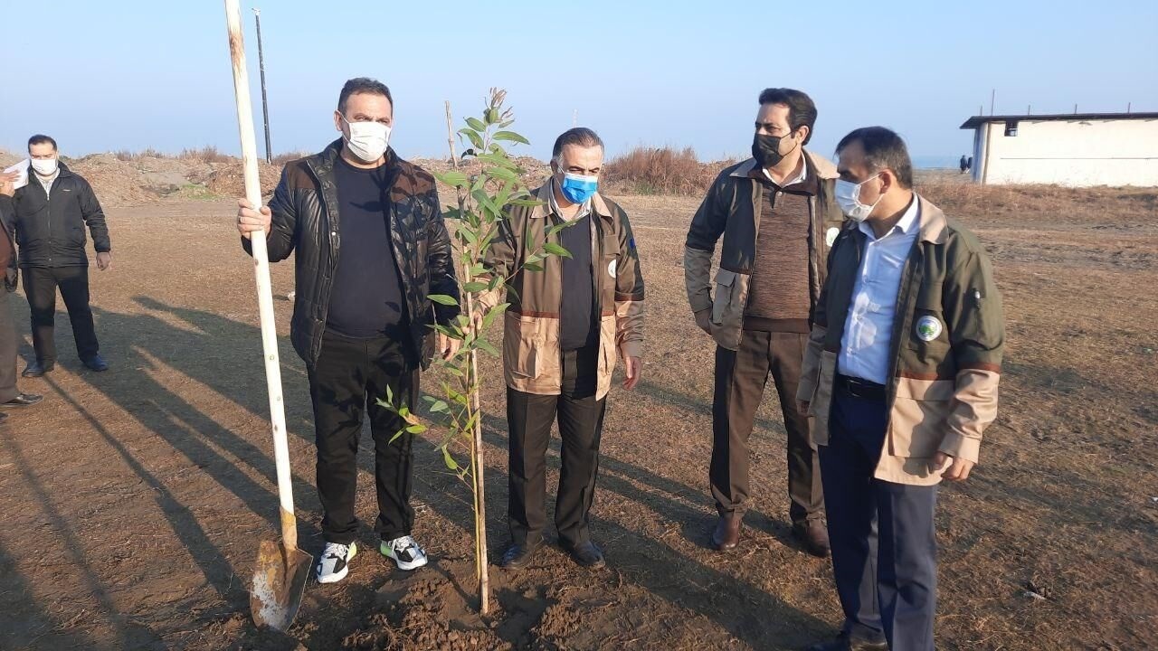 کاشت نهال به نام سردار سلیمانی در ساحل دریای خزر