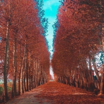 شهرهای اطراف تهران 