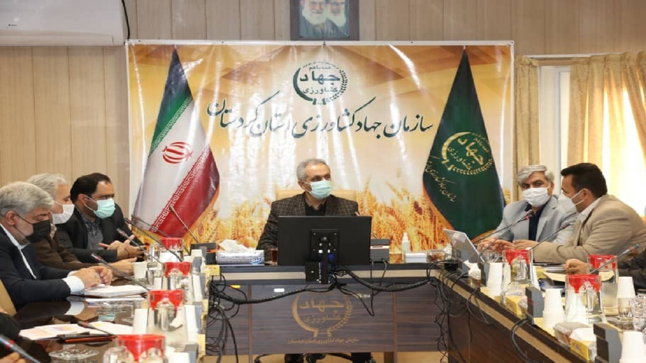 ۲۴۶ هزار هکتار از مزارع کردستان زیر پوشش بیمه است