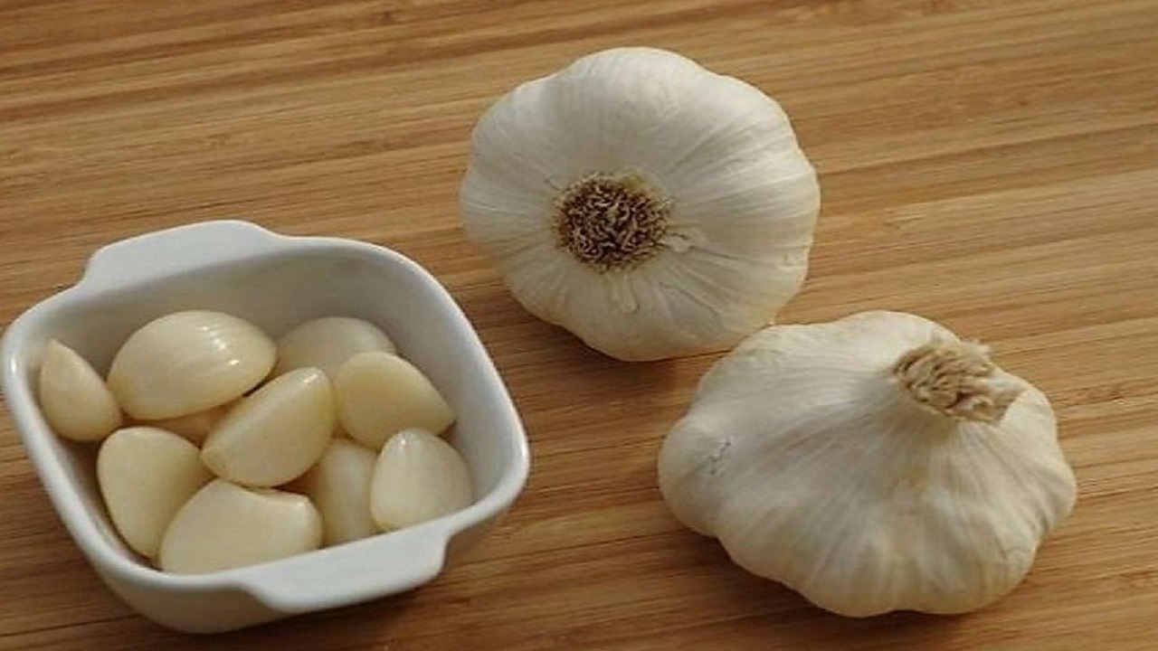 معده معده