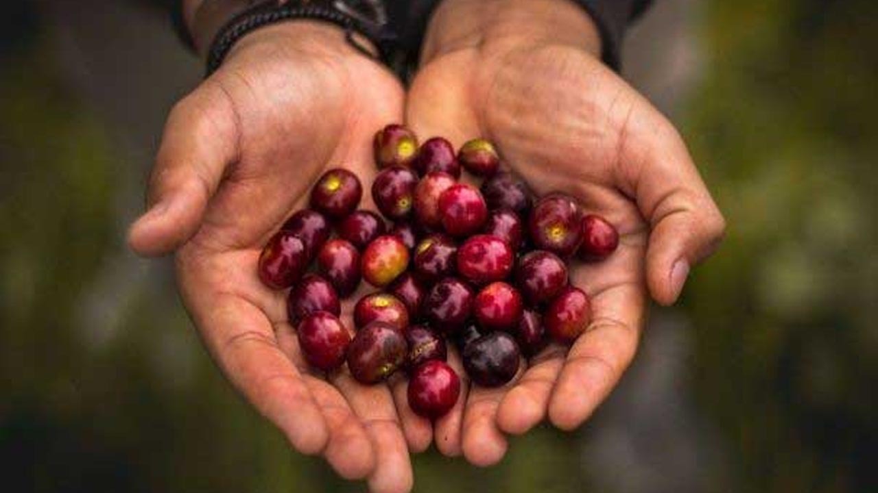 چرا باید درباره نعمت‌های خدا تفکر کنیم؟