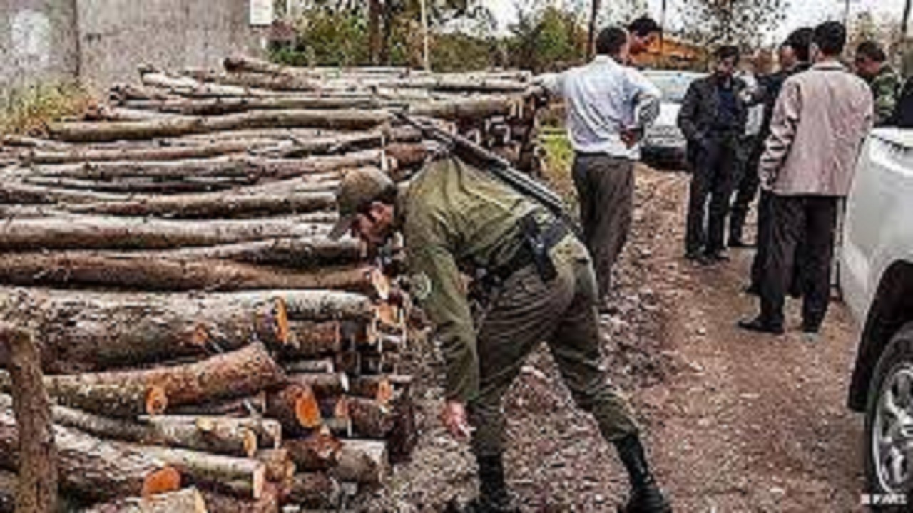 کشف ۱۰ تن چوب بدون مجوز در فامنین
