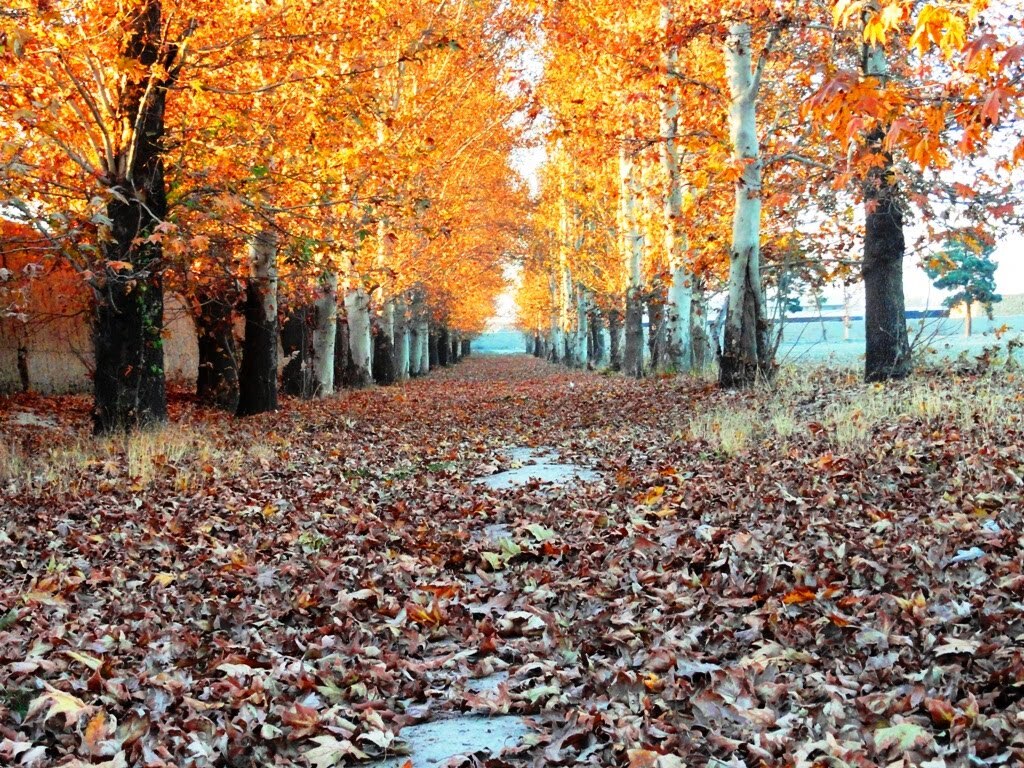 احمدآباد مستوفی؛ شهری برای عکاسی و فیلمبرداری سینمایی