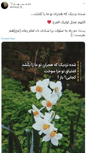 امام زمان امام زمان
