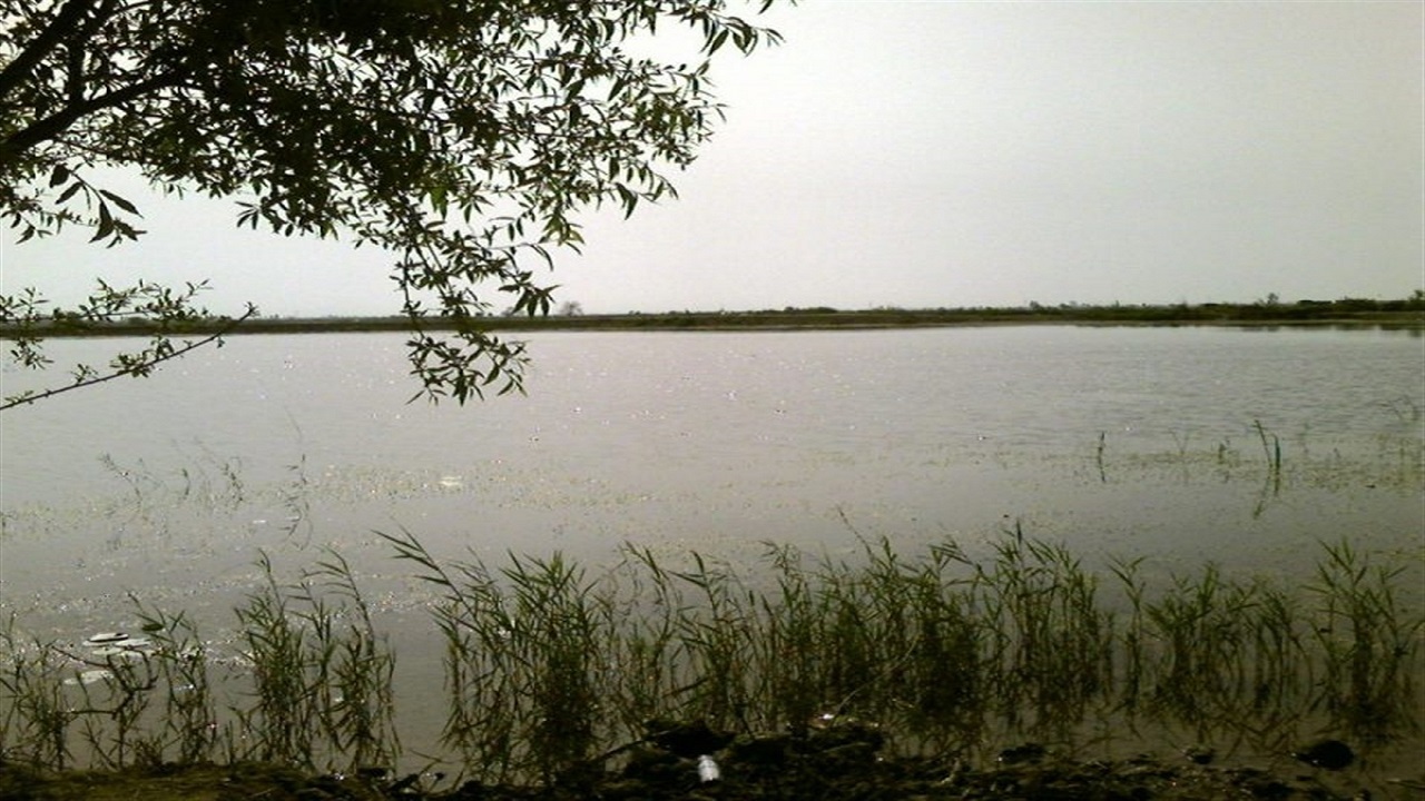 از