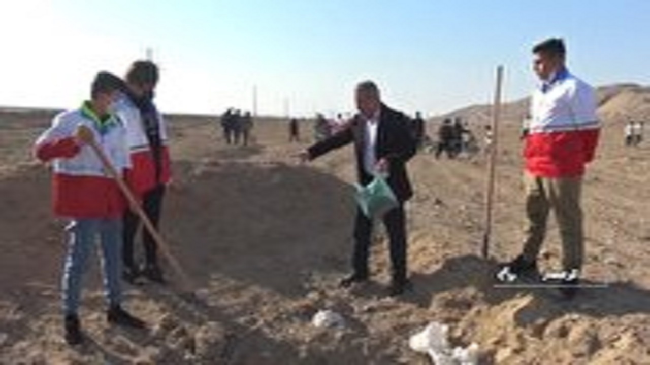 بذرکاری در کانون‌های بحران گرمسار در پویش ایران سرسبز