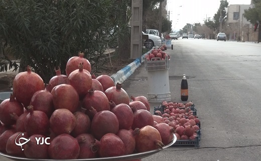 انارکاران فردوس خرده مالک هستند