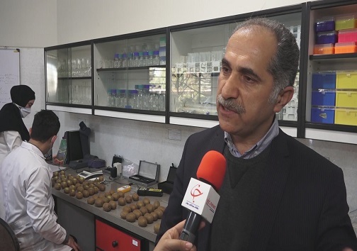 کیوی بخوریم یا نخوریم