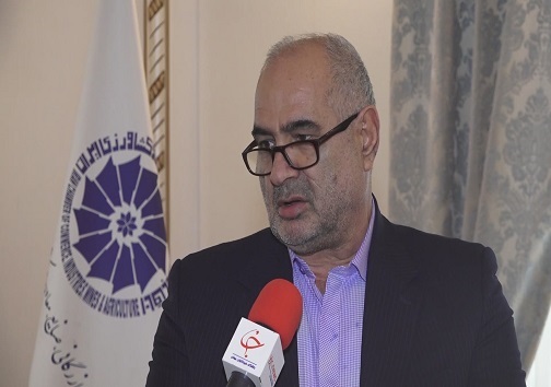 کیوی بخوریم یا نخوریم