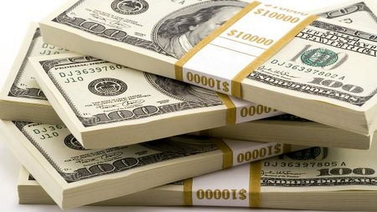 اختصاص ارز دولتی گره‌ای از بازار نشر باز می‌کند؟