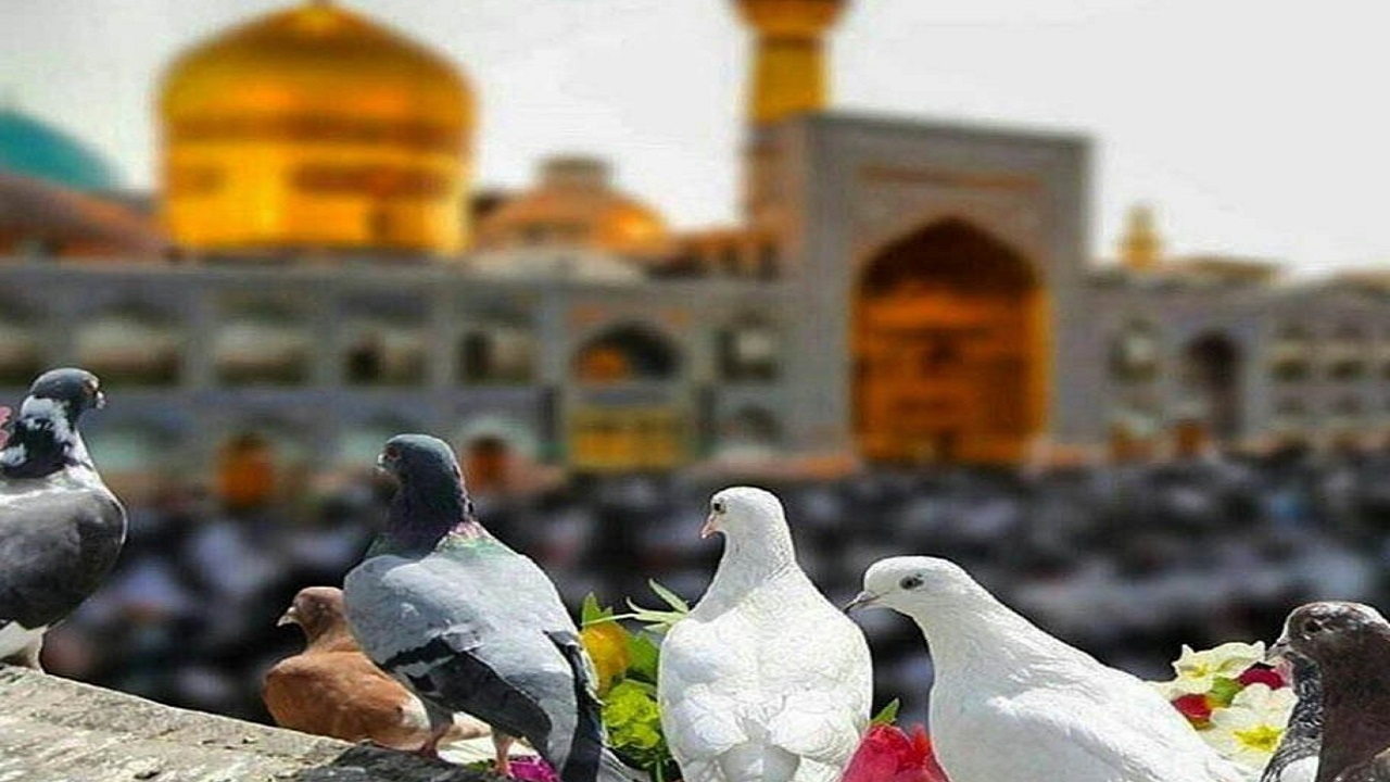 اجرای طرح قرار زیارت در حرم مطهر رضوی