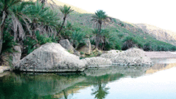 نمایی از شهر سازی بارسلون + فیلم