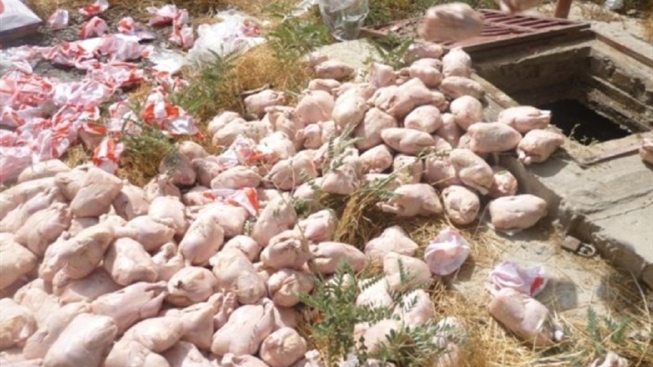 کشف و ضبط ۲۵۵ کیلوگرم مرغ منجمد تاریخ مصرف گذشته در باغملک