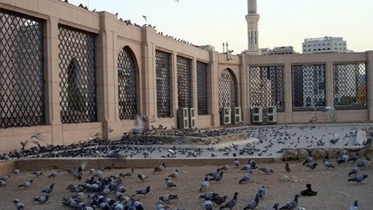 مادری که با ترسیم قبر حماسه آفرید