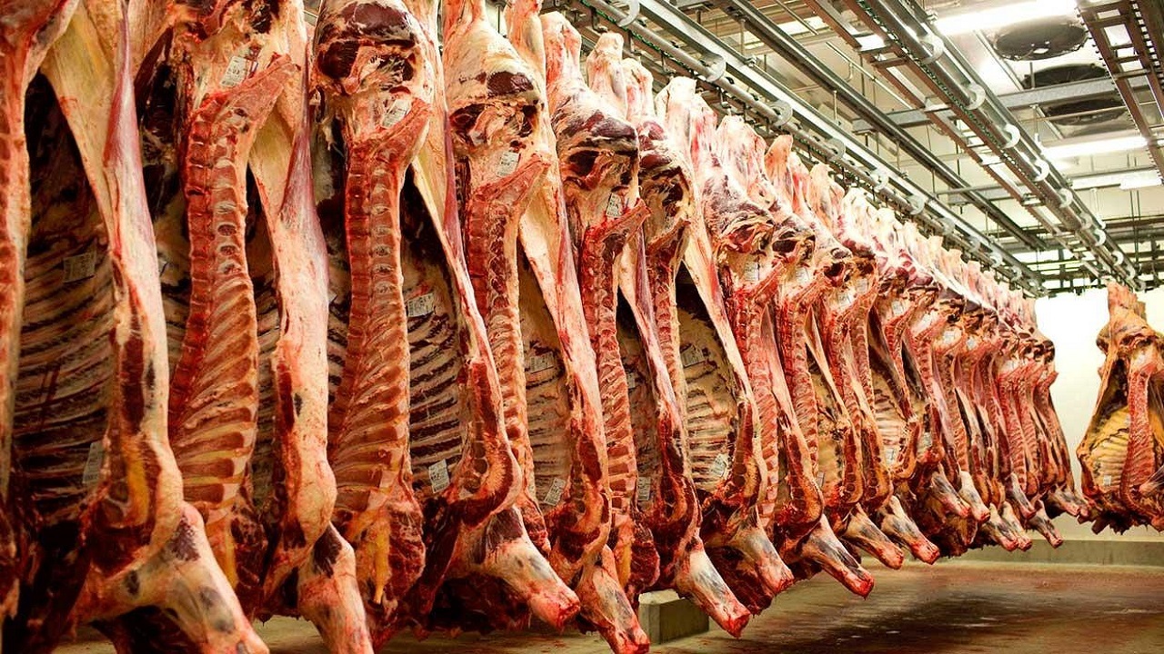 کاهش قیمت گوشت قرمز در  استان سمنان