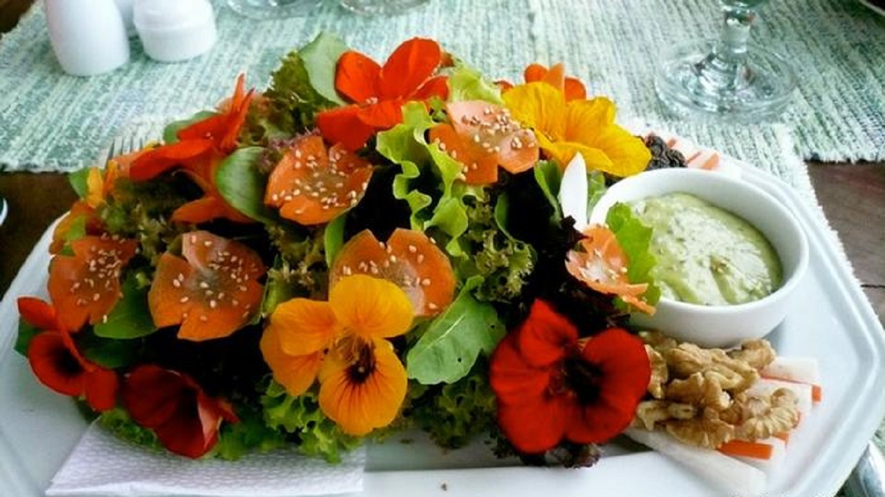 گل‌های خوراکی و خواص آن‌ها