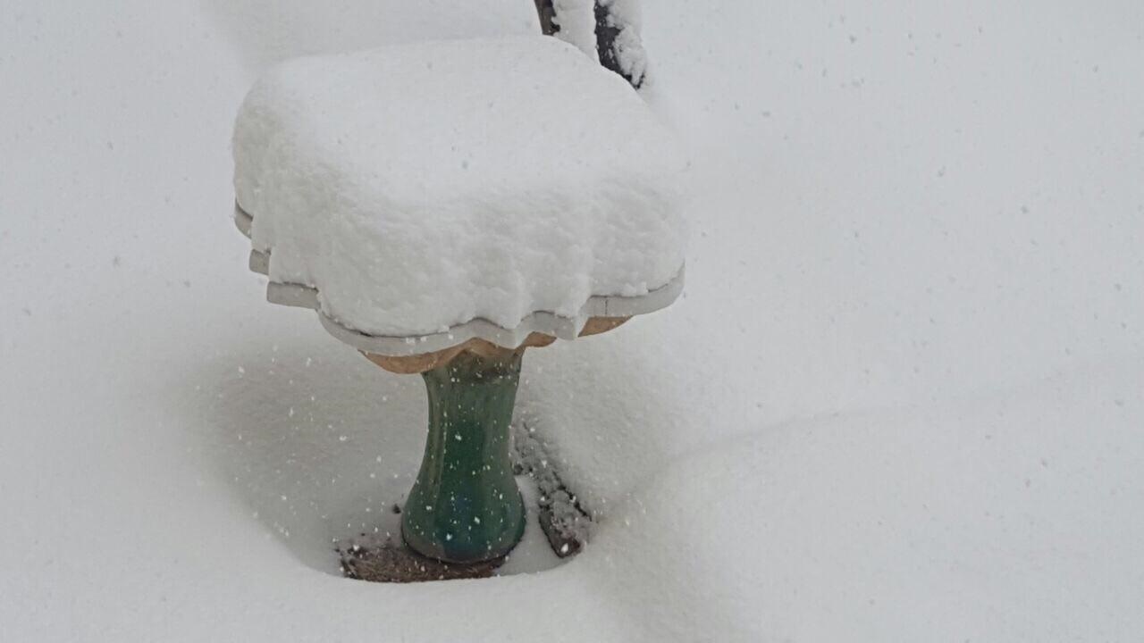 بارش ۷۵ سانتی‌متر برف در پیرانشهر