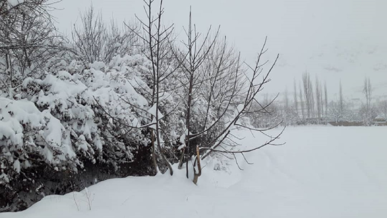 بارش ۴۶ سانتی متر برف در سیردان