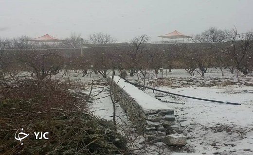 بارش برف در کهک به روایت تصویر