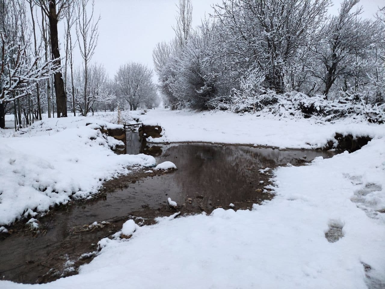 نمایی از اولین بارش برف زمستانی نهاوند + تصاویر