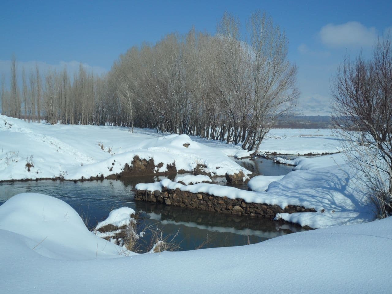 نمایی از اولین بارش برف زمستانی نهاوند + تصاویر