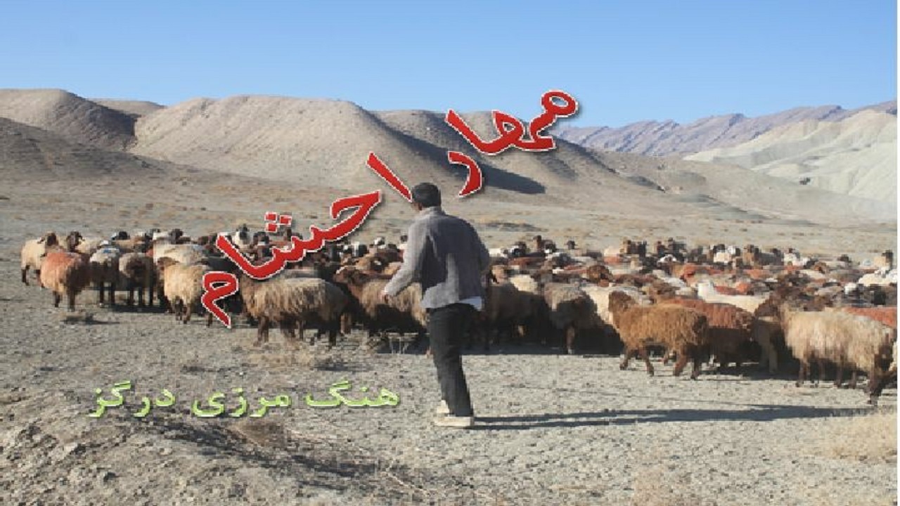 توقیف ۲۱۰ راس احشام قاچاق در هنگ مرزی درگز
