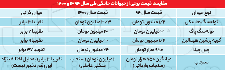 اعدادی عجیب از دنیای لاکچری حیوانات خانگی اعدادی عجیب از دنیای لاکچری حیوانات خانگی