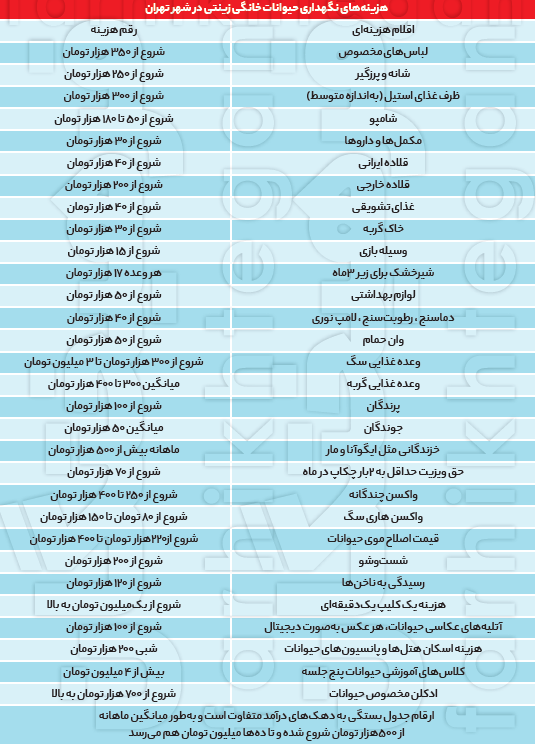 اعدادی عجیب از دنیای لاکچری حیوانات خانگی اعدادی عجیب از دنیای لاکچری حیوانات خانگی