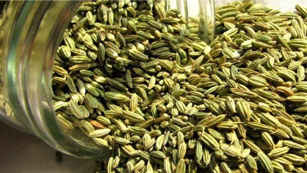 ۱۸ هکتار زیره سبز در ارسنجان کشت شد