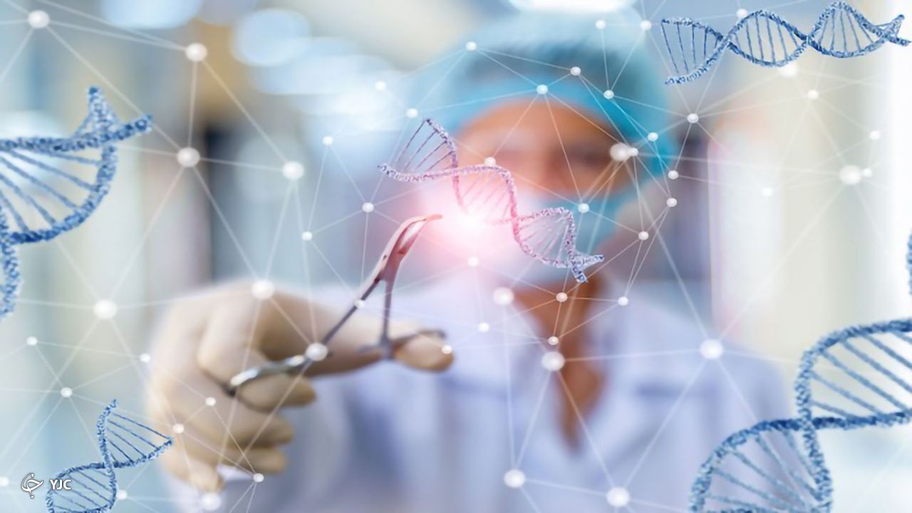 ویرایش ژنی ویرایش ژنی