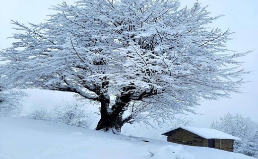 منظره زیبای برفی در گیلان 