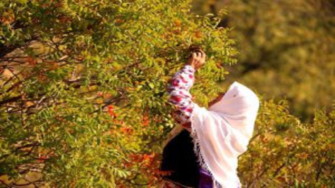 ثبت چهار اثر فرهنگی ناملموس قزوین در فهرست آثار ملی