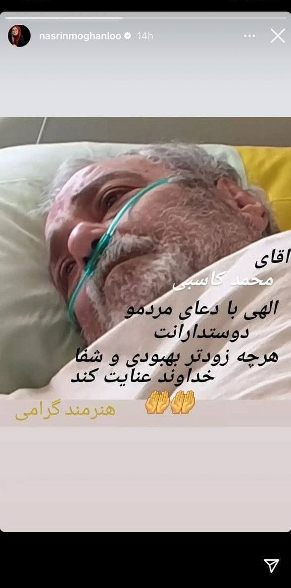نسرین مقانلو
