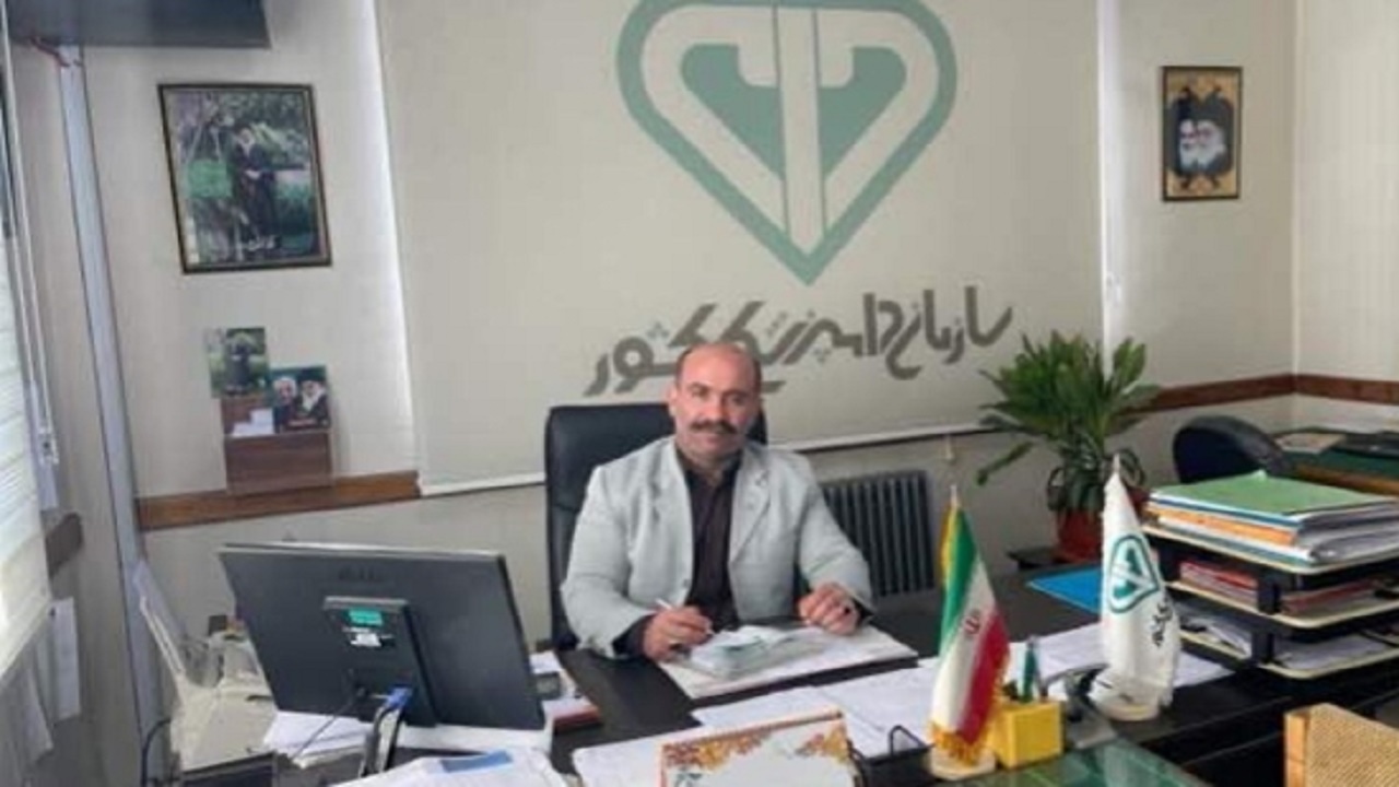 کشف ٢٣ تن کله و پاچه غیر بهداشتی در قائمشهر