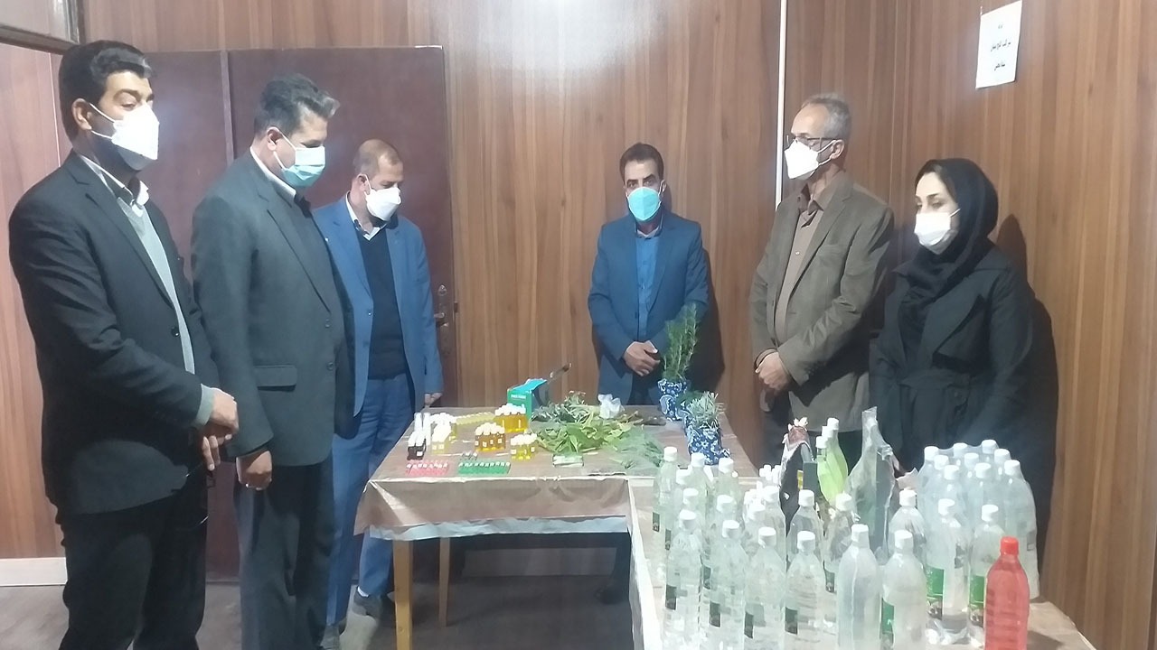 معرفی برگزیدگان اولین جشنواره علمی گیاهان دارویی در کوهبنان