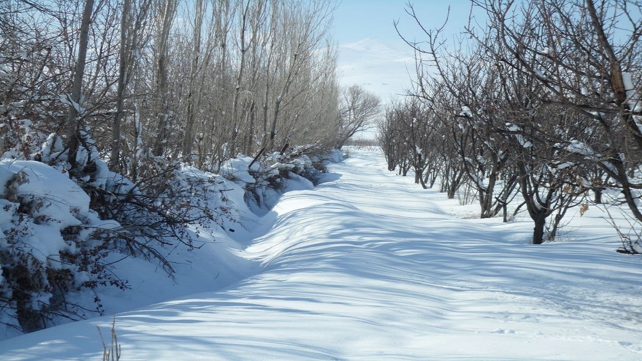 از