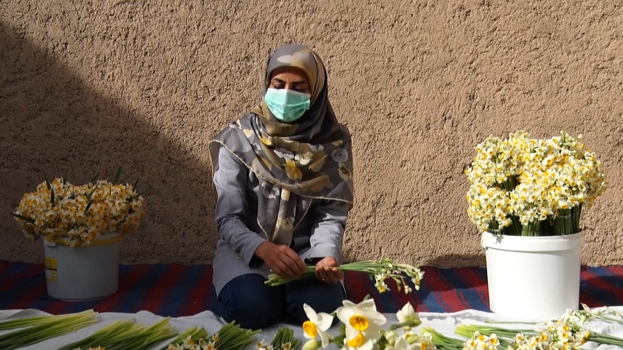 به نرگس وام نمی دهند!