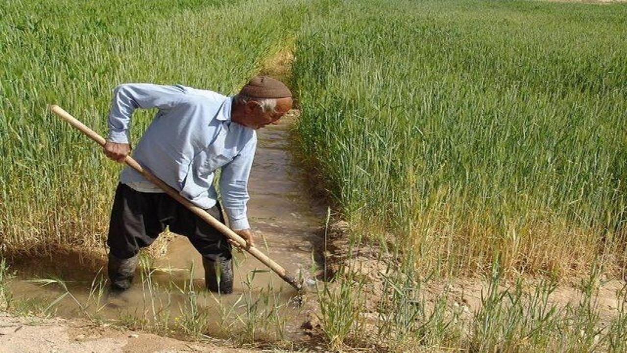 پرداخت ۴۷۰ میلیارد ریال خسارت به کشاورزان قزوین