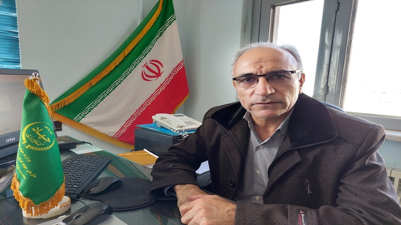 کاهش ۵۰ درصدی سطح زیر کشت محصولات کشاورزی در بردسکن