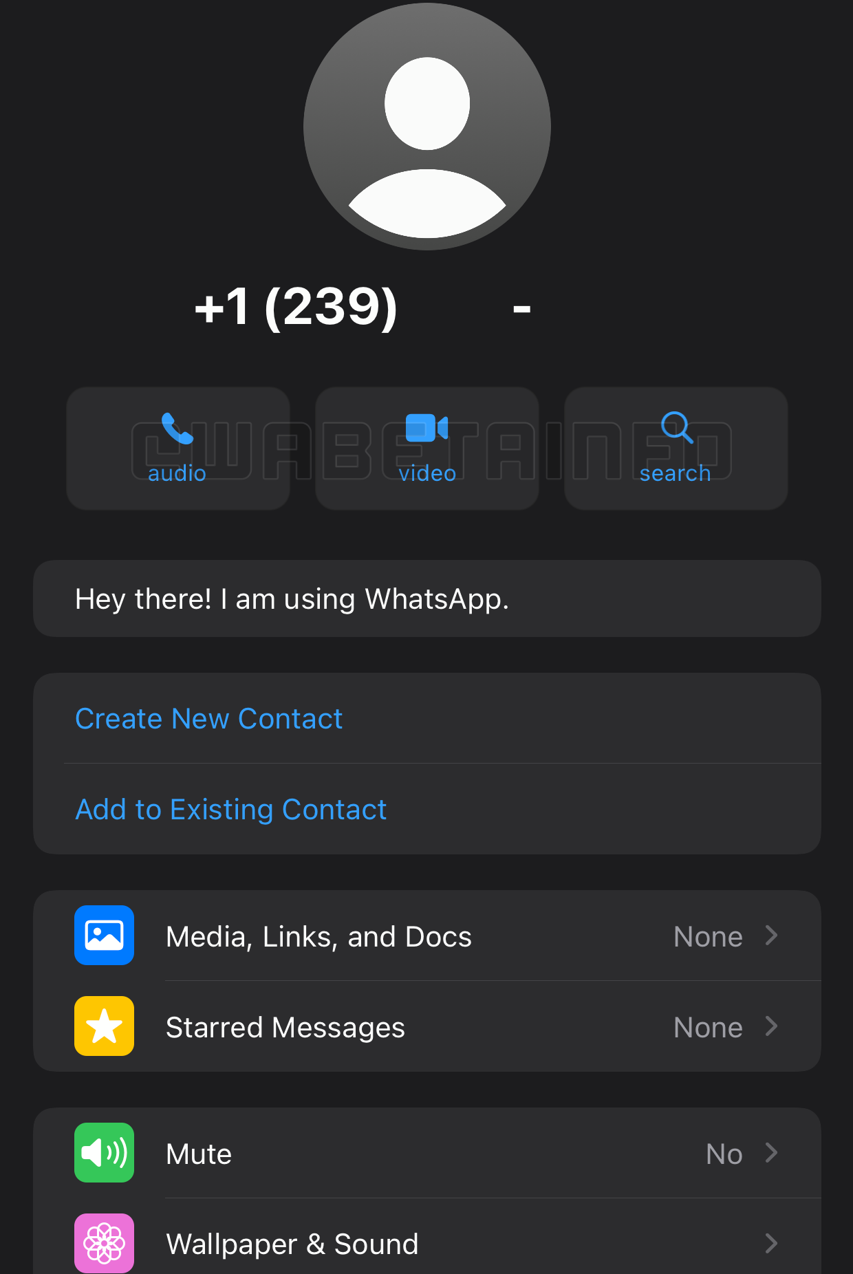 صفحه بازطراحی شده اطلاعات تماس