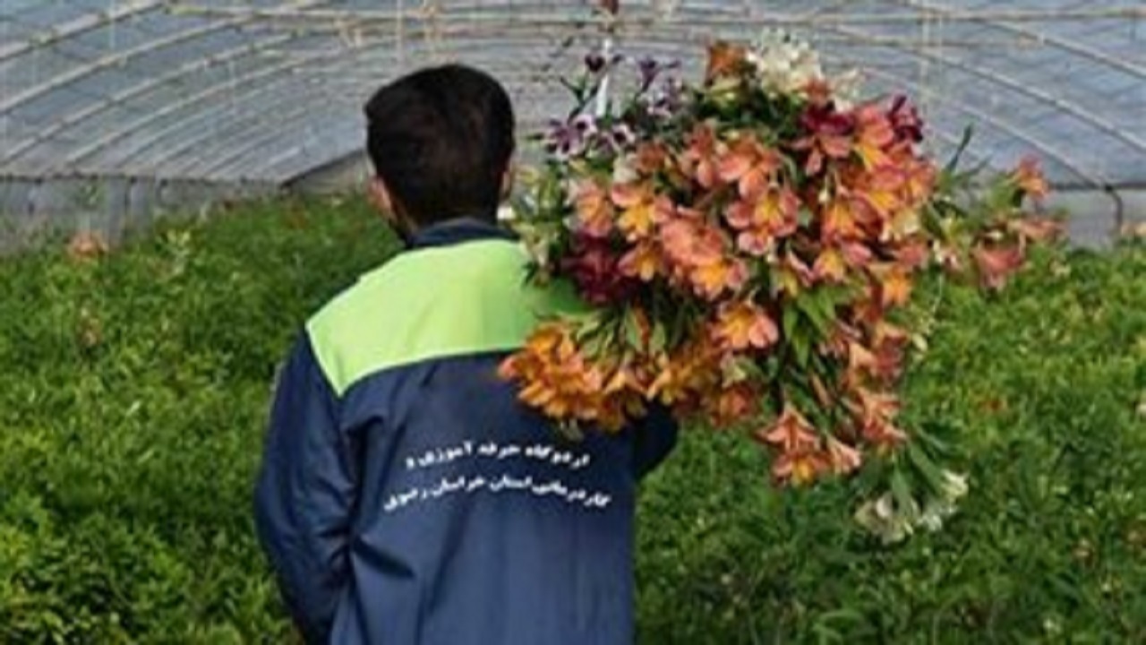 زندانیان خراسان رضوی، محصولات کشاورزی تولید می‌کنند