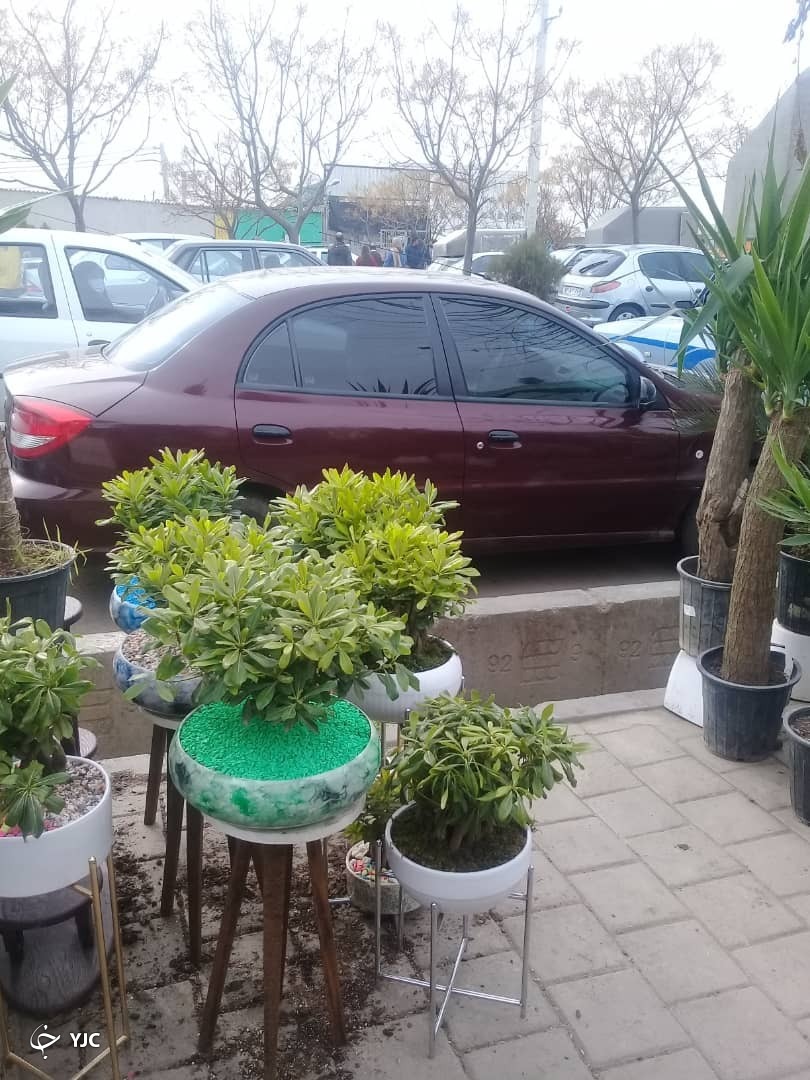 ورودی بازار گل